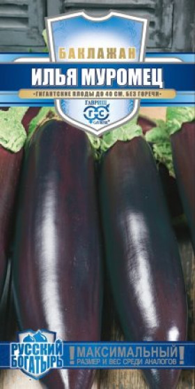 Илья Муромец Ц(Г)