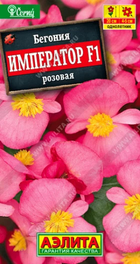 Император вечноцветущая розовая Ц(А)