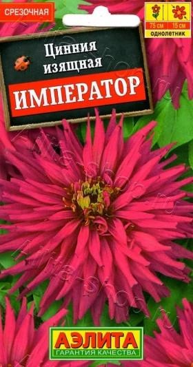 Император  Ц(А)