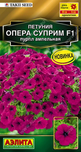 Опера суприм пурпл Ц(А)