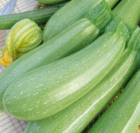 Кабачок Ардендо Каприс 20*3шт