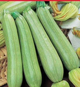 Кабачок Кавили Каприс 20*3шт