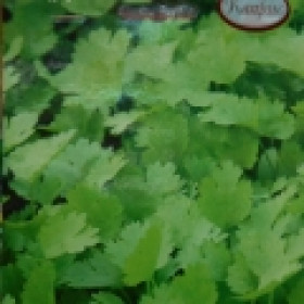 Кориандр Санто  Каприс 20*3г