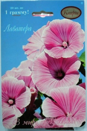 Лаватера Волшебный патефон роз Каприс 20*1г