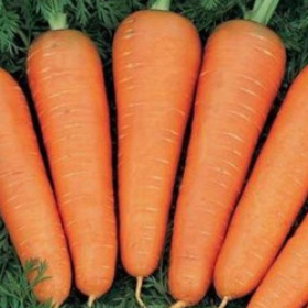Морковь Каскад F1 Каприс 20*0,5 гр.
