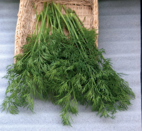 Аллигатор 25гр\ Поиск