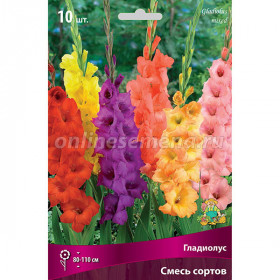 Смесь крупноцветковый 10шт Поиск