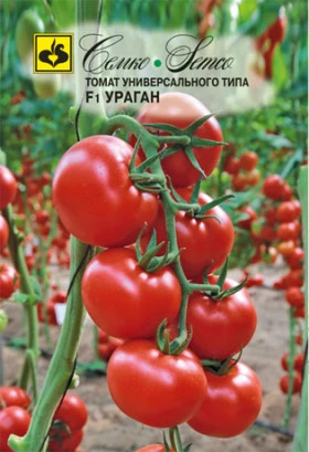 Ураган Семко