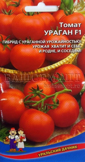 Ураган Ц(УД)