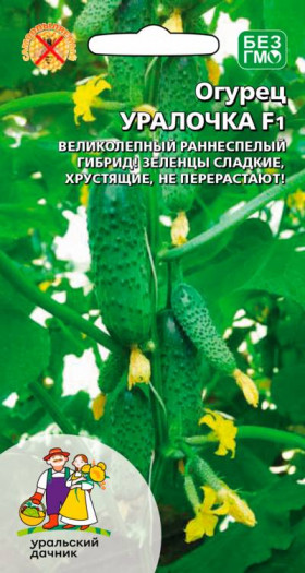 Уралочка Ц(УД)