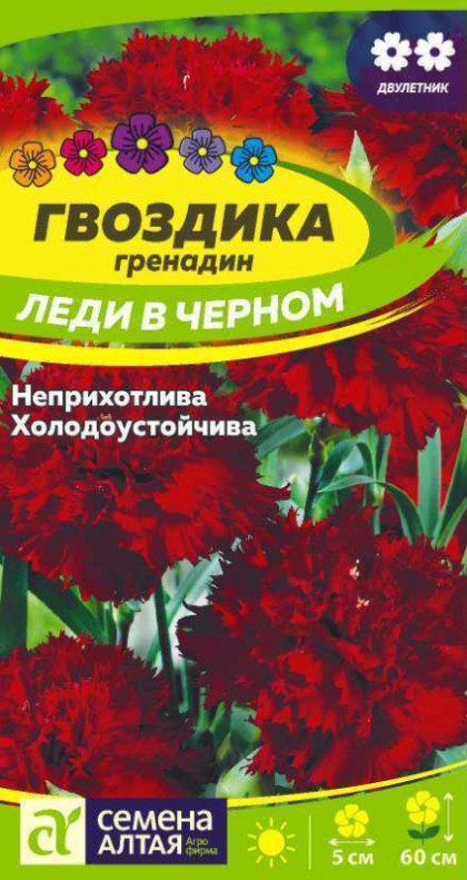 Гренадин Леди в черном Ц(Алт)