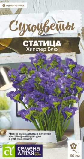 Хипстер Блю 5шт  Ц/Алт