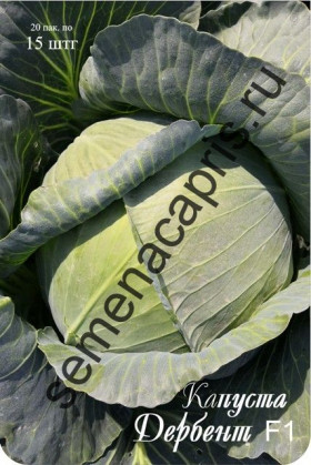 Капуста Дербент Каприс