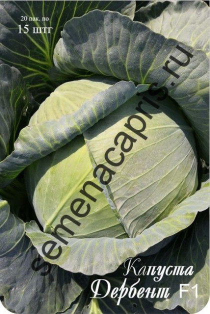 Капуста Дербент Каприс