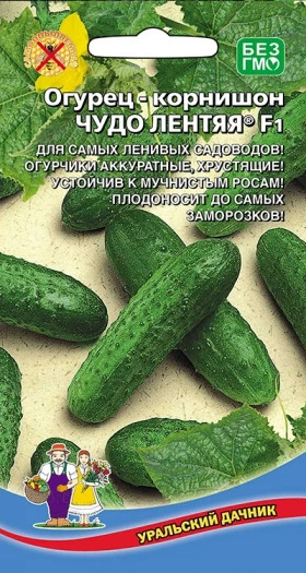 Чудо лентяя Ц(УД) огурец
