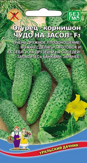 Чудо на засол Ц(УД) огурец