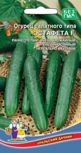 Эстафета Ц(УД)