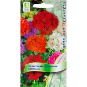 Колорама Ц(Поиск)