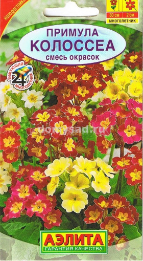 Колоссеа смесь Ц(А)