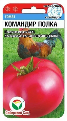 Командир полка СС