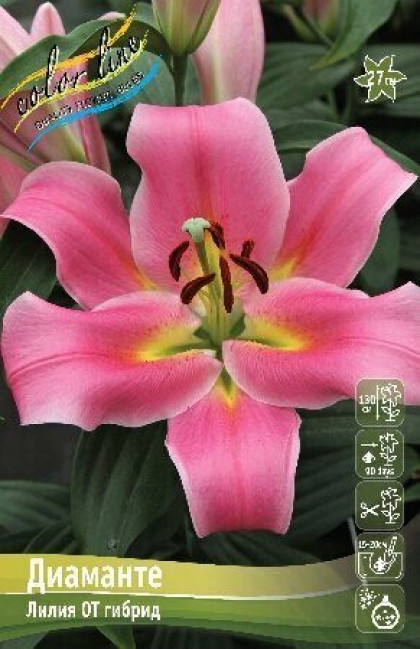 Диаманте 12/14 (ОТ) 5 шт