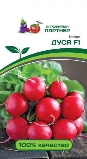 Дуся 1гр Партнер