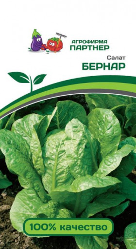 Бернар кочанный 0,5гр Партнер Новинка