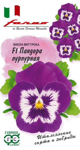 Пандора Пурпурная Ц(Г)