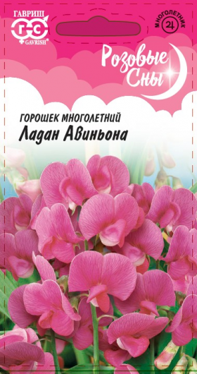 Ладан Авиньона многолет Ц(Г)