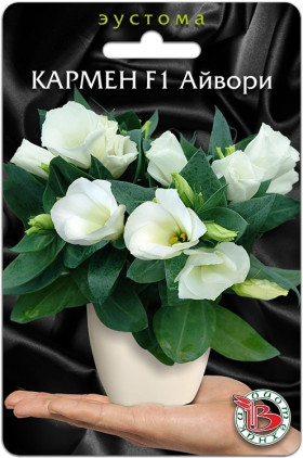 Кармен Айвори горшочная Биотехника