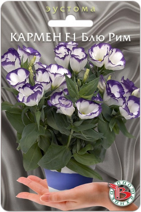 Кармен Блю Рим горшочная Биотехника