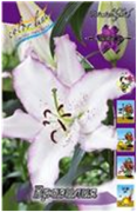 Бразилия 12/14 вост 5шт