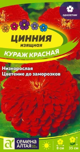 Кураж Красная карликовая Ц(Алт)
