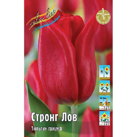 Стронг Лов 11/12 (триумф) 8шт
