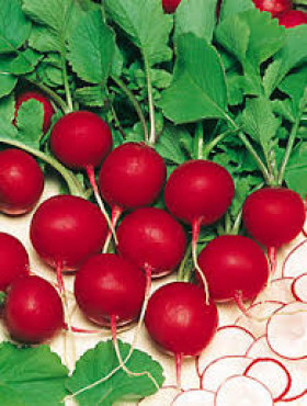 Жара 25г Гавриш