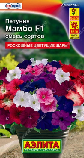 Мамбо смесь многоцветковая Ц(А)