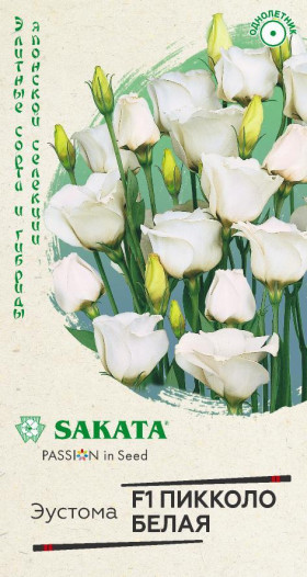 Пикколо Белая Ц(Г)