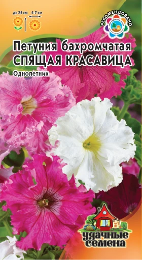 Спящая красавица бахр.5шт УС(Г)