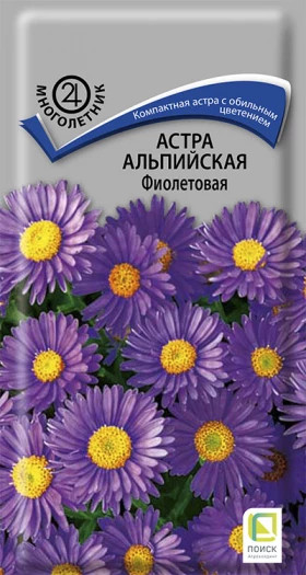 Альпийская Фиолетовая Ц(Поиск)