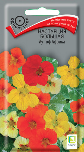 Аут оф Африка Ц(Поиск)