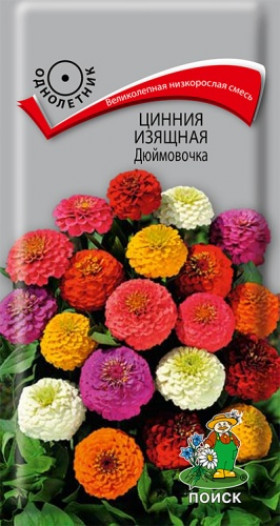 Дюймовочка изящная Ц(Поиск)