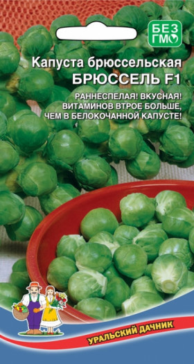 брюссельская Брюссель Ц(УД)
