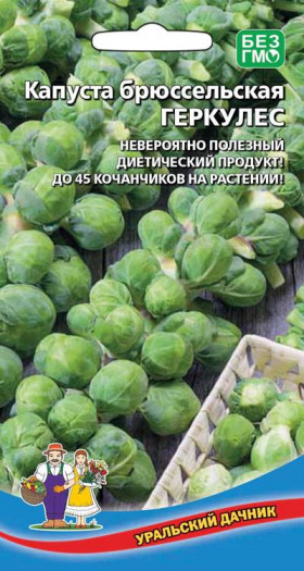 брюссельская Геркулес Ц(УД)