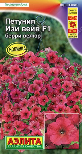 Изи Вейв Берри Велюр Ц(А)