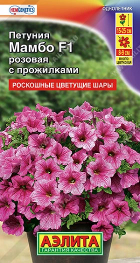 Мамбо розовая многоцв.Ц(А)