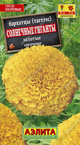 Солнечные гиганты золотые Ц(А)