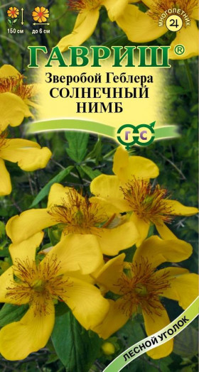 Солнечный нимб Ц(Г)