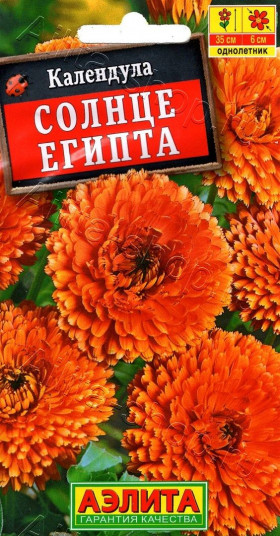 Солнце Египта Ц(А)