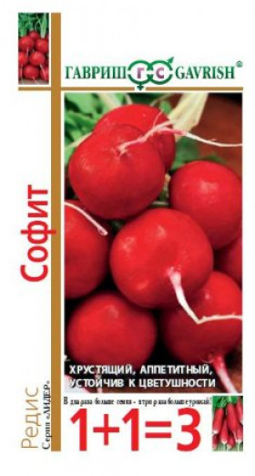 Софит 1+1 Ц(Г)