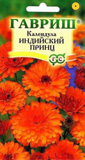 Индийский принц Ц(Г)